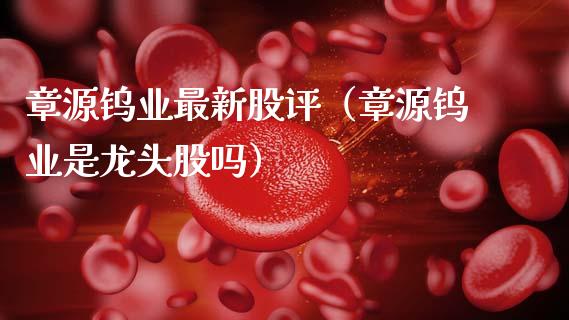 章源钨业最新股评（章源钨业是龙头股吗）_https://www.boyangwujin.com_原油期货_第1张