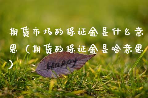 期货市场的保证金是什么意思（期货的保证金是啥意思）
