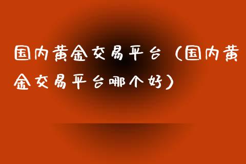 国内黄金交易平台（国内黄金交易平台哪个好）