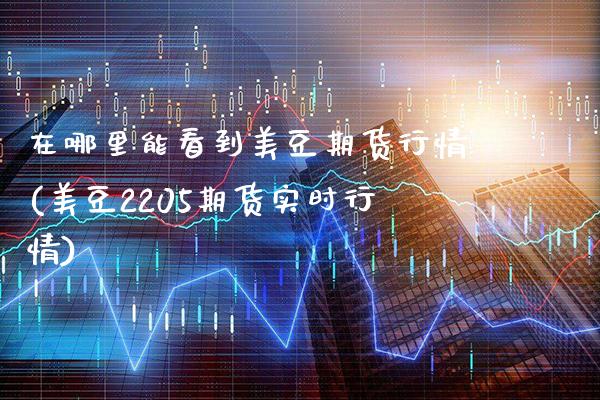 在哪里能看到美豆期货行情(美豆2205期货实时行情)_https://www.boyangwujin.com_内盘期货_第1张