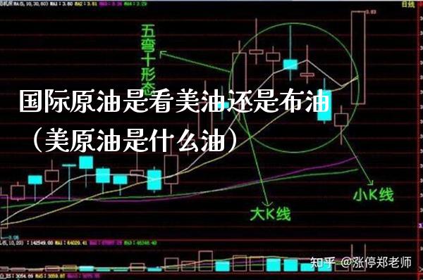 国际原油是看美油还是布油（美原油是什么油）
