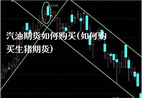 汽油期货如何购买(如何购买生猪期货)_https://www.boyangwujin.com_期货直播间_第1张