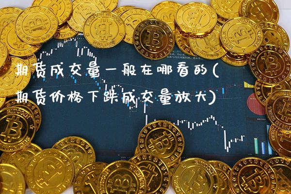 期货成交量一般在哪看的(期货价格下跌成交量放大)_https://www.boyangwujin.com_期货直播间_第1张