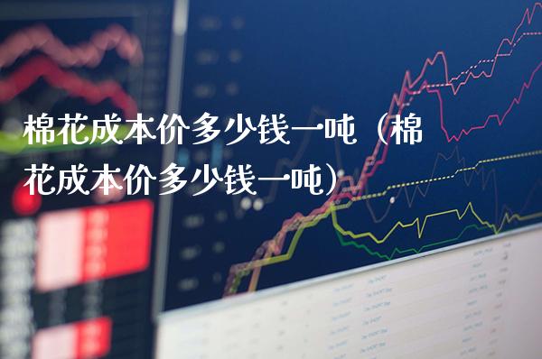 棉花成本价多少钱一吨（棉花成本价多少钱一吨）_https://www.boyangwujin.com_道指期货_第1张