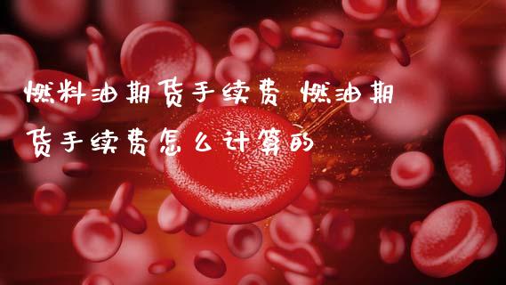 燃料油期货手续费 燃油期货手续费怎么计算的