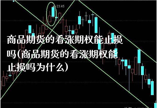 商品期货的看涨期权能止损吗(商品期货的看涨期权能止损吗为什么)_https://www.boyangwujin.com_纳指期货_第1张