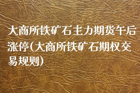 大商所铁矿石主力期货午后涨停(大商所铁矿石期权交易规则)