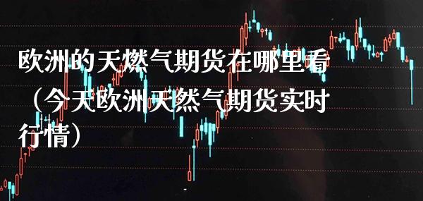 欧洲的天燃气期货在哪里看（今天欧洲天然气期货实时行情）_https://www.boyangwujin.com_黄金期货_第1张