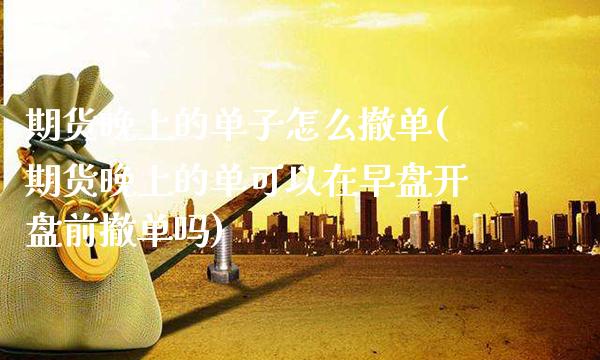 期货晚上的单子怎么撤单(期货晚上的单可以在早盘开盘前撤单吗)_https://www.boyangwujin.com_白银期货_第1张