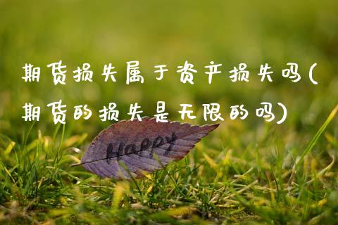 期货损失属于资产损失吗(期货的损失是无限的吗)