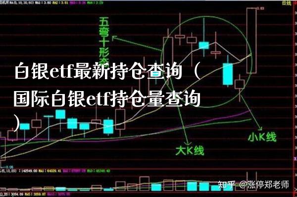 白银etf最新持仓查询（国际白银etf持仓量查询）_https://www.boyangwujin.com_期货直播间_第1张