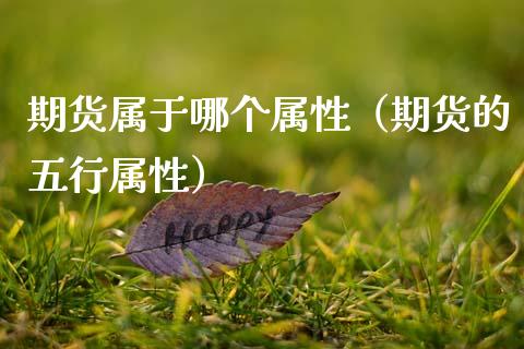 期货属于哪个属性（期货的五行属性）_https://www.boyangwujin.com_黄金期货_第1张