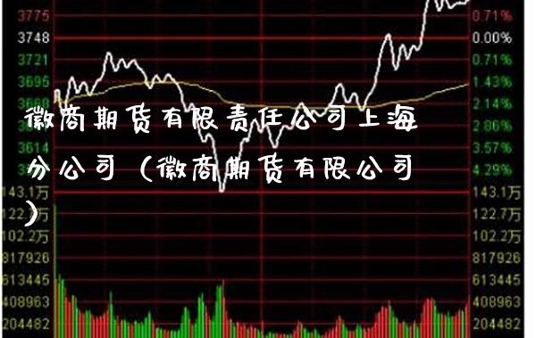 徽商期货有限责任公司上海分公司（徽商期货有限公司）_https://www.boyangwujin.com_黄金期货_第1张