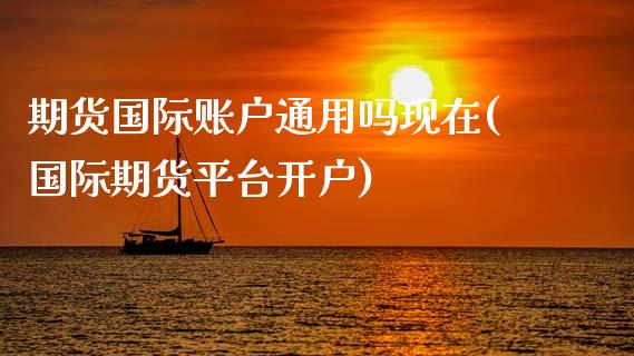期货国际账户通用吗现在(国际期货平台开户)