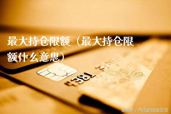 最大持仓限额（最大持仓限额什么意思）