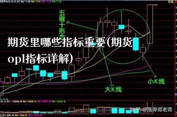 期货里哪些指标重要(期货opl指标详解)_https://www.boyangwujin.com_白银期货_第1张