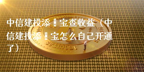 中信建投添鑫宝查收益（中信建投添鑫宝怎么自己开通了）