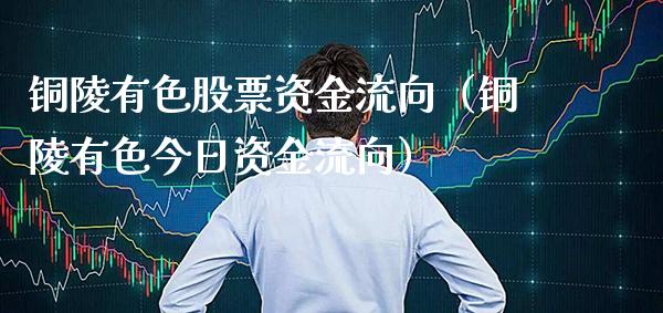 铜陵有色股票资金流向（铜陵有色今日资金流向）