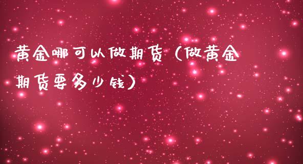 黄金哪可以做期货（做黄金期货要多少钱）