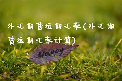 外汇期货远期汇率(外汇期货远期汇率计算)_https://www.boyangwujin.com_期货直播间_第1张