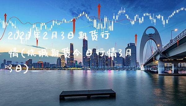2020年2月3日期货行情(烧碱期货今日行情3月3日)_https://www.boyangwujin.com_期货直播间_第1张
