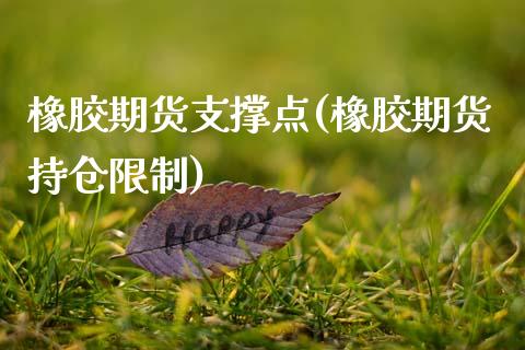 橡胶期货支撑点(橡胶期货持仓限制)_https://www.boyangwujin.com_恒指期货_第1张