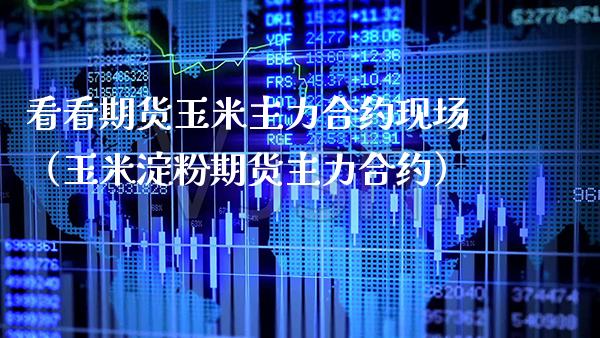 看看期货玉米主力合约现场（玉米淀粉期货主力合约）