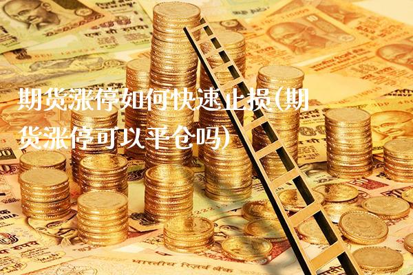 期货涨停如何快速止损(期货涨停可以平仓吗)_https://www.boyangwujin.com_白银期货_第1张