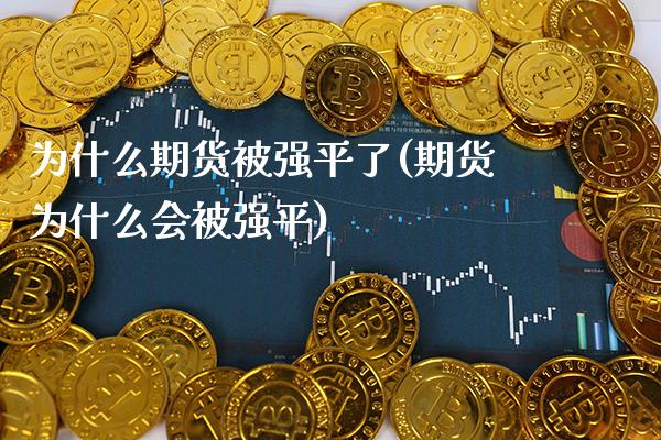 为什么期货被强平了(期货为什么会被强平)_https://www.boyangwujin.com_黄金期货_第1张