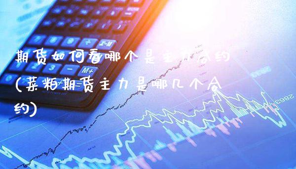 期货如何看哪个是主力合约(菜粕期货主力是哪几个合约)_https://www.boyangwujin.com_内盘期货_第1张