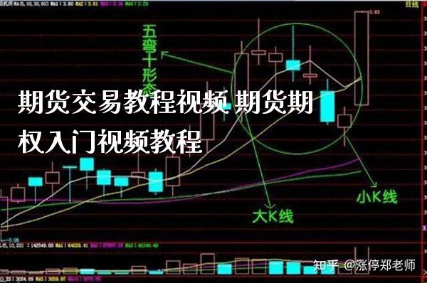 期货交易教程视频 期货期权入门视频教程_https://www.boyangwujin.com_纳指期货_第1张