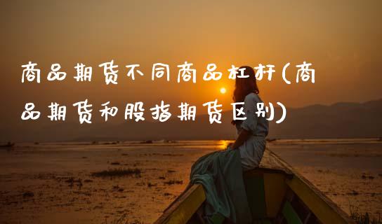 商品期货不同商品杠杆(商品期货和股指期货区别)