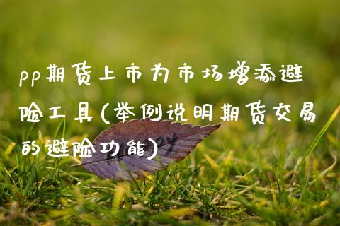 pp期货上市为市场增添避险工具(举例说明期货交易的避险功能)_https://www.boyangwujin.com_黄金期货_第1张