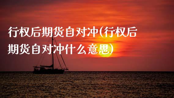 行权后期货自对冲(行权后期货自对冲什么意思)_https://www.boyangwujin.com_黄金期货_第1张