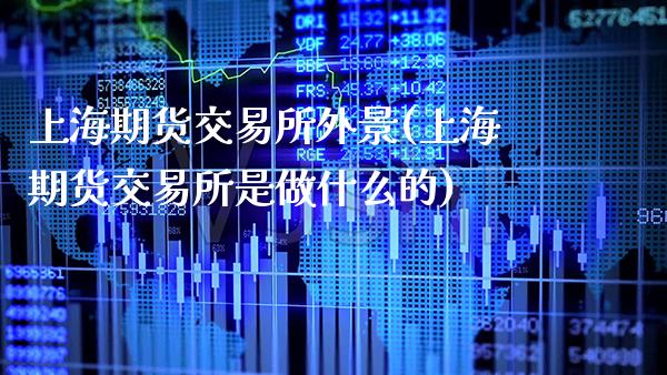 上海期货交易所外景(上海期货交易所是做什么的)_https://www.boyangwujin.com_恒生指数_第1张