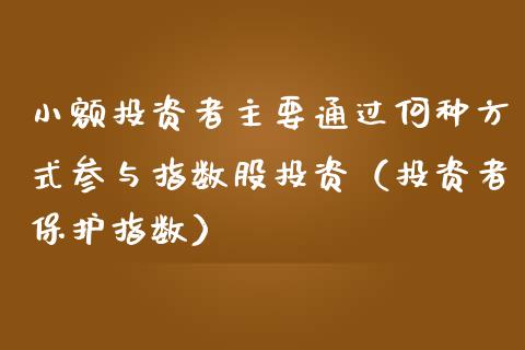 小额投资者主要通过何种方式参与指数股投资（投资者保护指数）_https://www.boyangwujin.com_黄金期货_第1张
