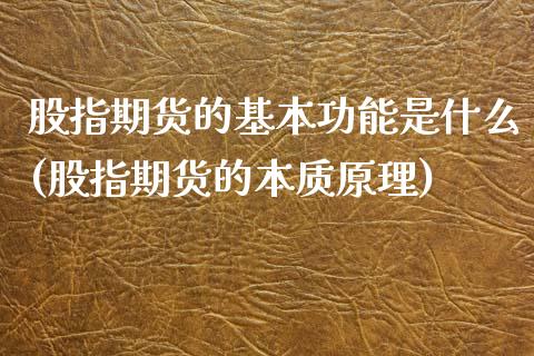 股指期货的基本功能是什么(股指期货的本质原理)_https://www.boyangwujin.com_原油期货_第1张