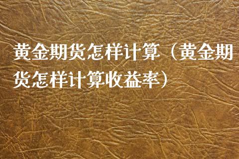 黄金期货怎样计算（黄金期货怎样计算收益率）