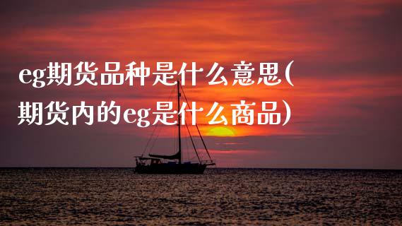 eg期货品种是什么意思(期货内的eg是什么商品)