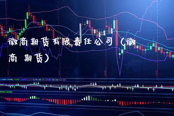 徽商期货有限责任公司（徽商 期货）_https://www.boyangwujin.com_道指期货_第1张