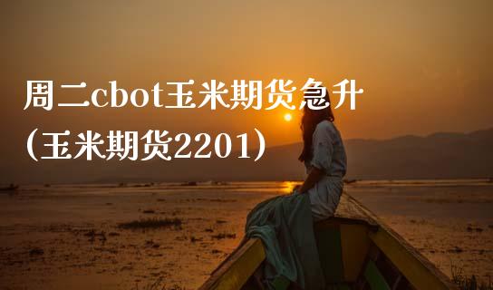 周二cbot玉米期货急升(玉米期货2201)