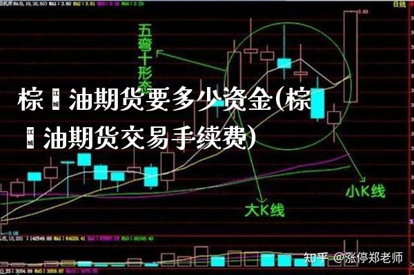 棕榈油期货要多少资金(棕榈油期货交易手续费)