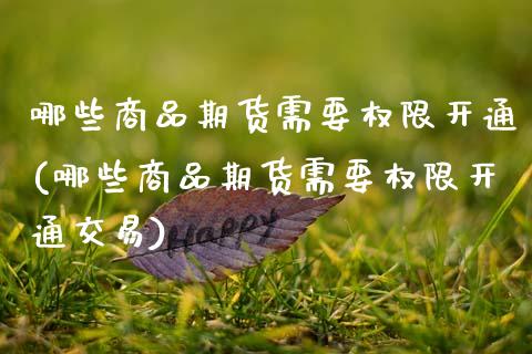 哪些商品期货需要权限开通(哪些商品期货需要权限开通交易)_https://www.boyangwujin.com_期货直播间_第1张