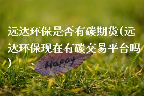远达环保是否有碳期货(远达环保现在有碳交易平台吗)_https://www.boyangwujin.com_期货直播间_第1张