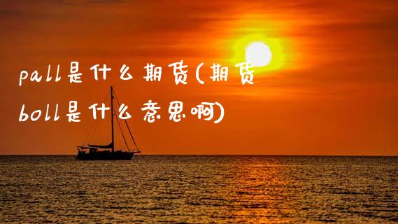 pall是什么期货(期货boll是什么意思啊)_https://www.boyangwujin.com_期货直播间_第1张