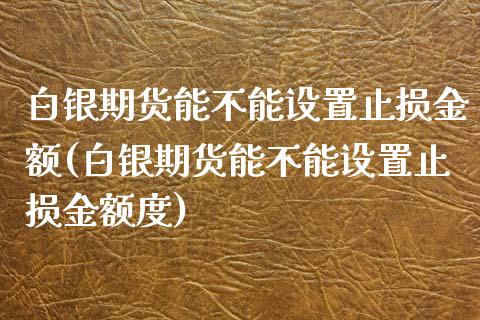 白银期货能不能设置止损金额(白银期货能不能设置止损金额度)_https://www.boyangwujin.com_期货直播间_第1张