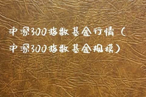 沪深300指数基金行情（沪深300指数基金规模）