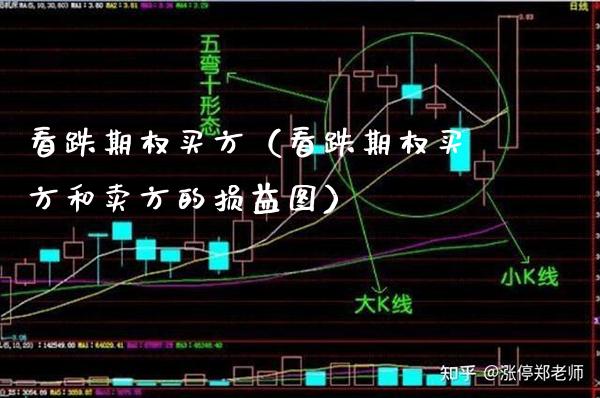 看跌期权买方（看跌期权买方和卖方的损益图）