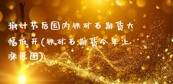 预计节后国内铁矿石期货大幅低开(铁矿石期货今年上涨原因)_https://www.boyangwujin.com_期货直播间_第1张