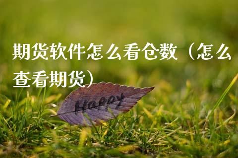 期货软件怎么看仓数（怎么查看期货）_https://www.boyangwujin.com_期货直播间_第1张